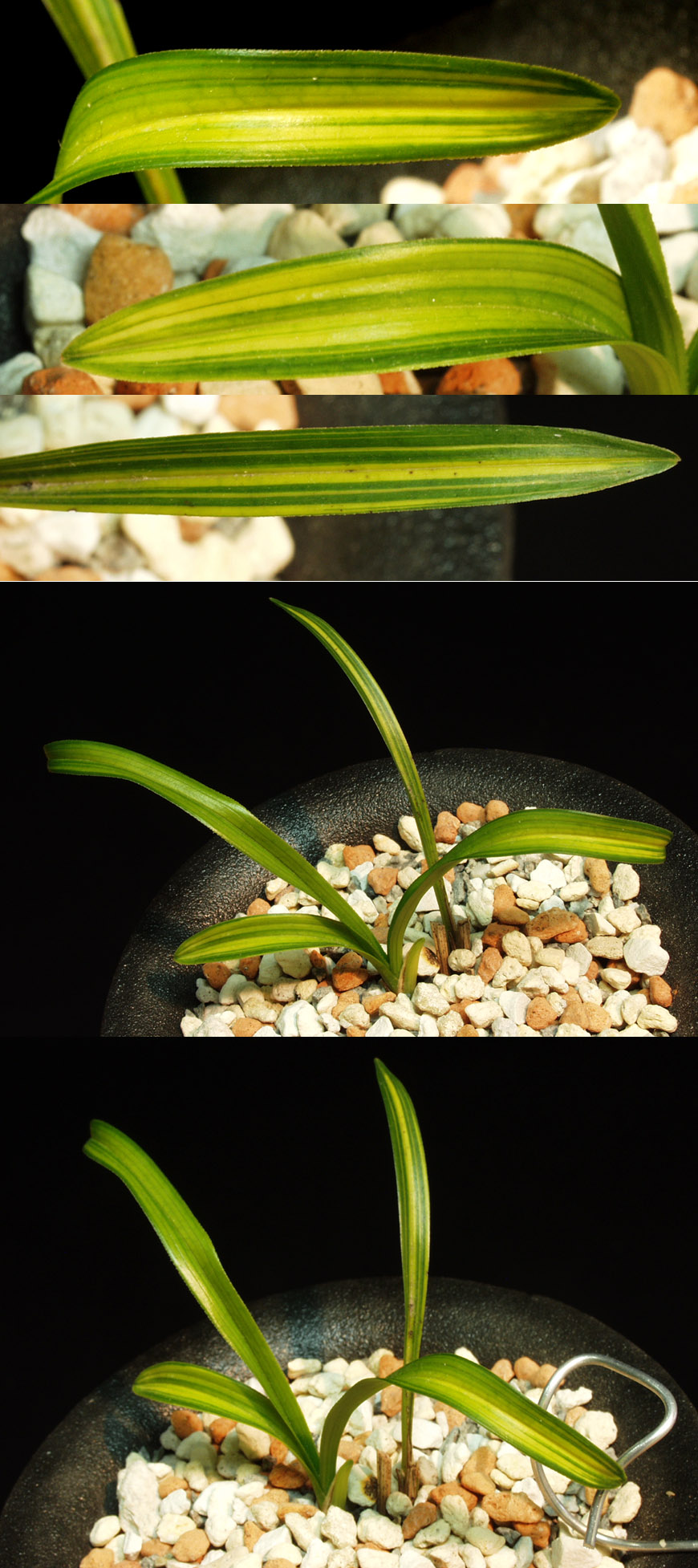 ������ ū������ �� �� �ֽ��ϴ�.