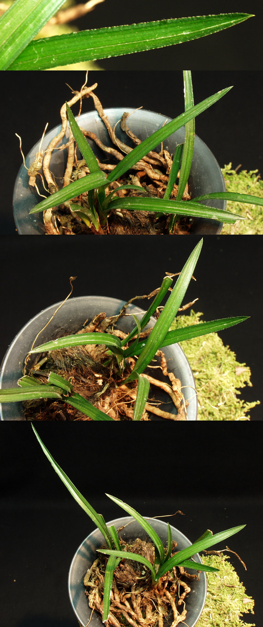 ������ ū������ �� �� �ֽ��ϴ�.