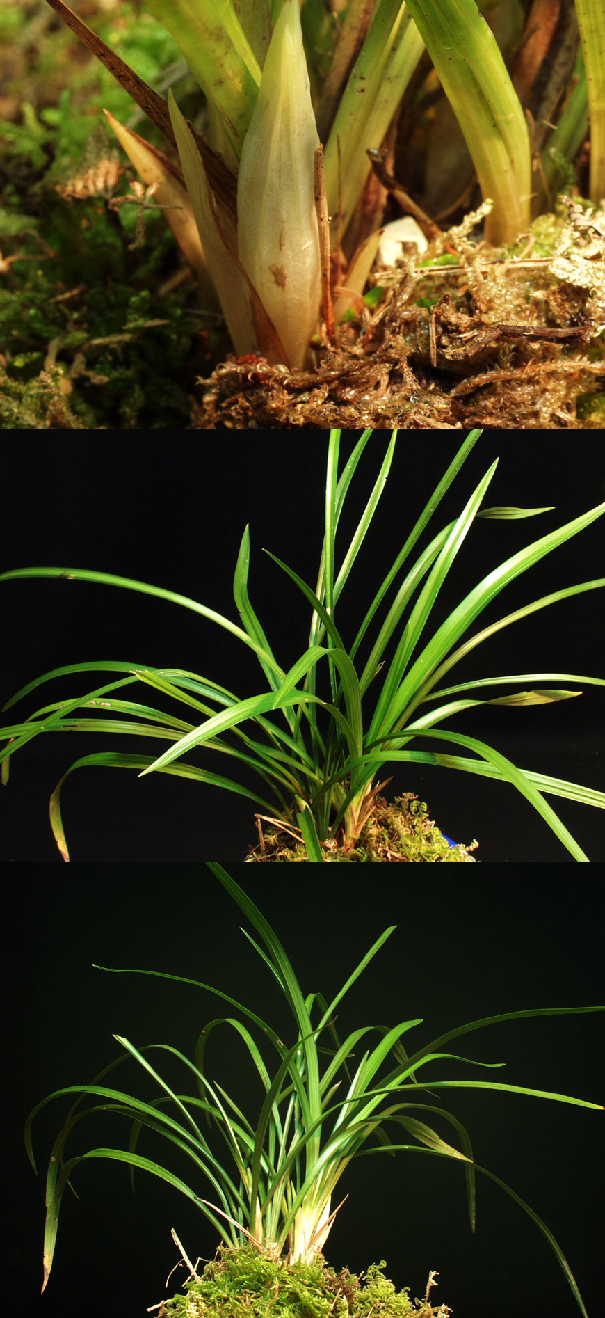 ������ ū������ �� �� �ֽ��ϴ�.