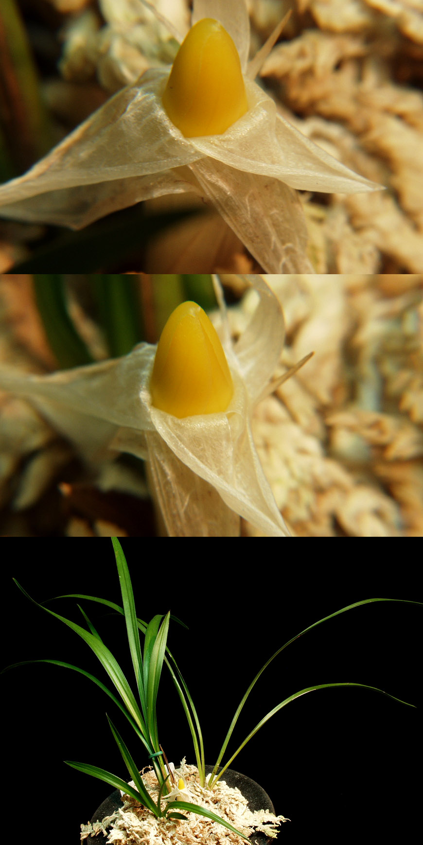 ������ ū������ �� �� �ֽ��ϴ�.