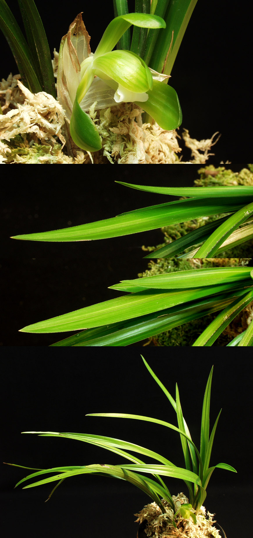 ������ ū������ �� �� �ֽ��ϴ�.