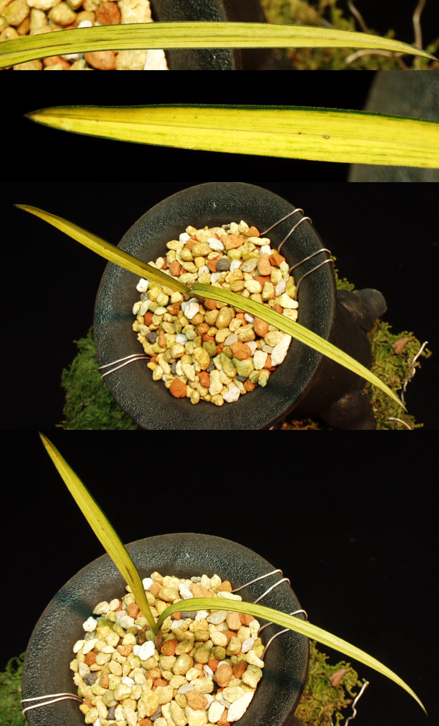 ������ ū������ �� �� �ֽ��ϴ�.