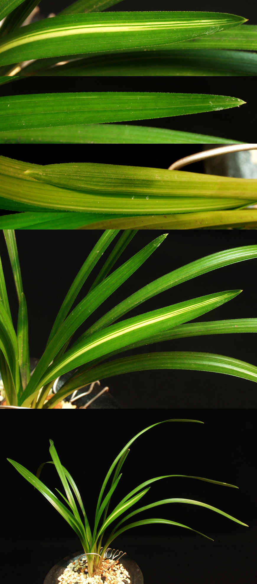 ������ ū������ �� �� �ֽ��ϴ�.