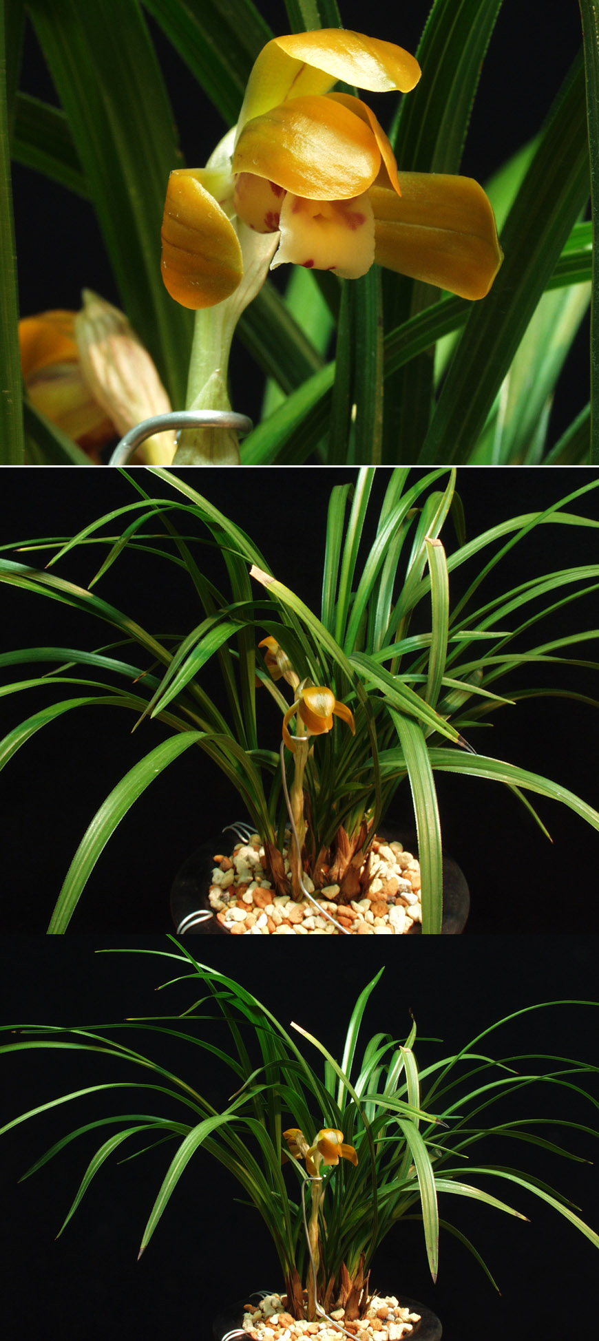 ������ ū������ �� �� �ֽ��ϴ�.