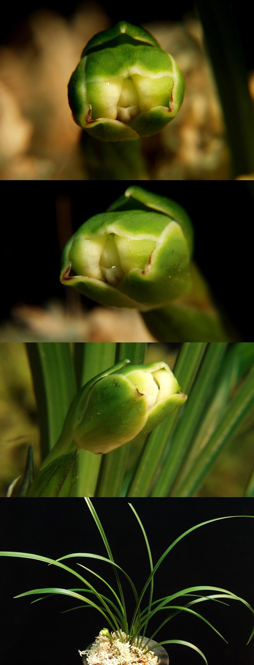 ������ ū������ �� �� �ֽ��ϴ�.