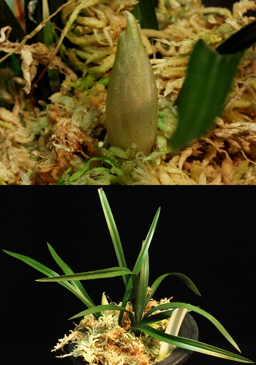 ������ ū������ �� �� �ֽ��ϴ�.