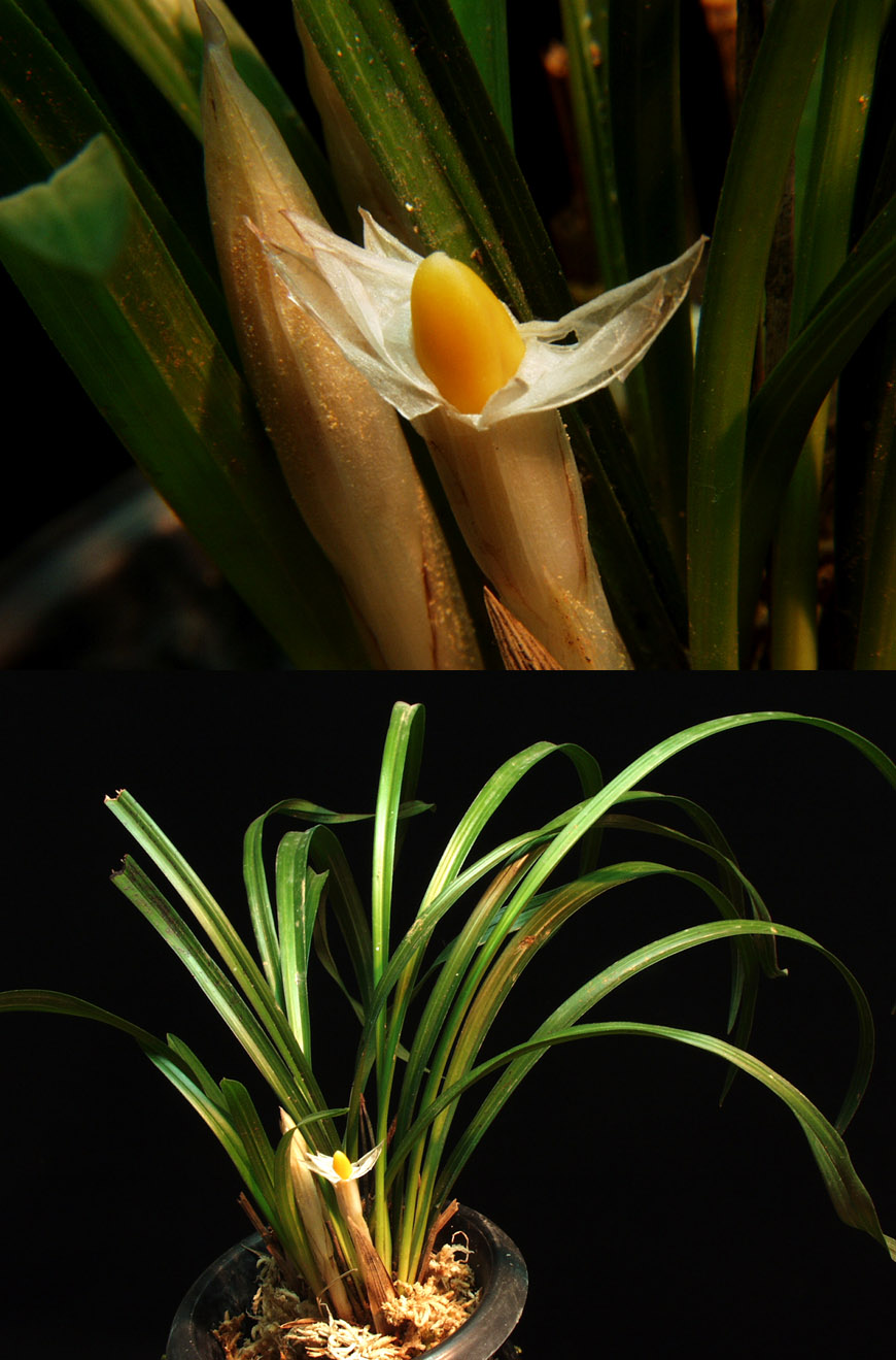 ������ ū������ �� �� �ֽ��ϴ�.