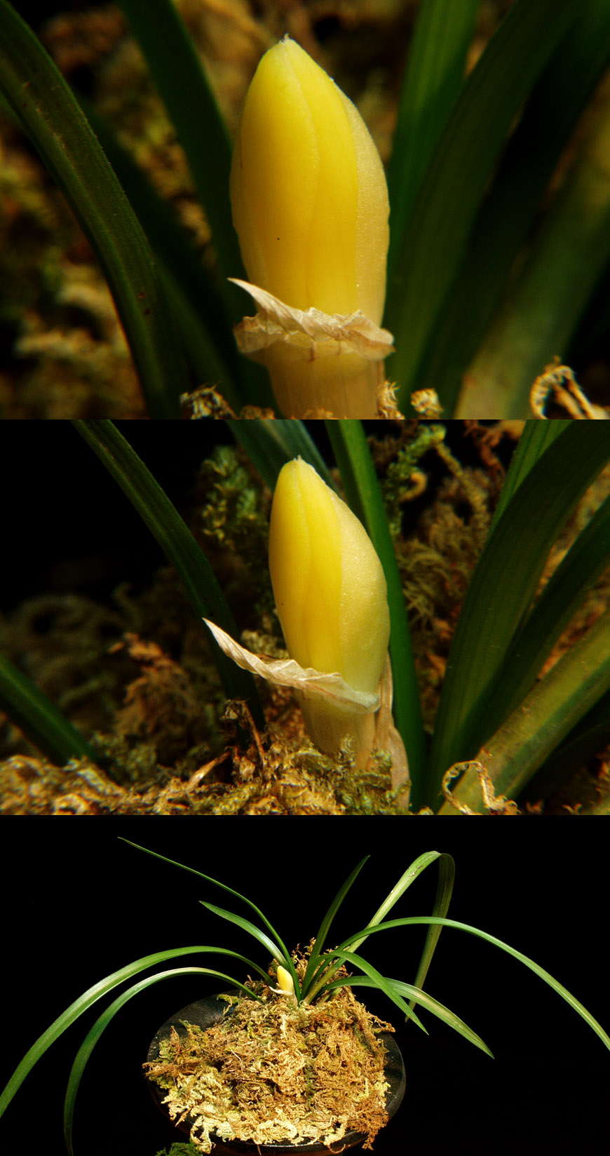 ������ ū������ �� �� �ֽ��ϴ�.