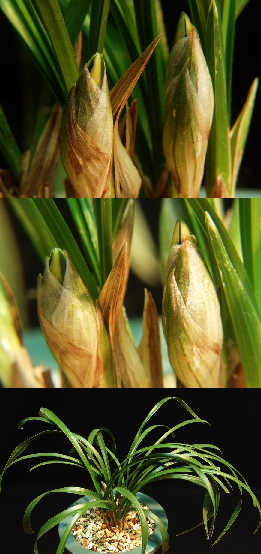 ������ ū������ �� �� �ֽ��ϴ�.