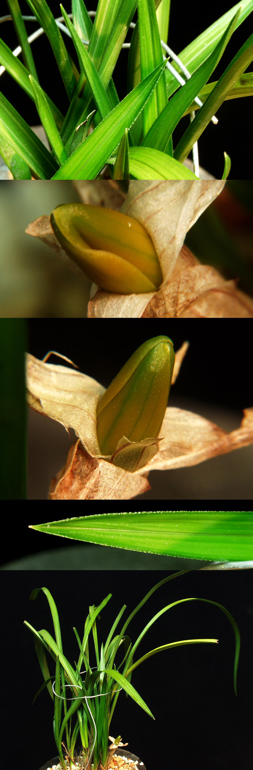 ������ ū������ �� �� �ֽ��ϴ�.