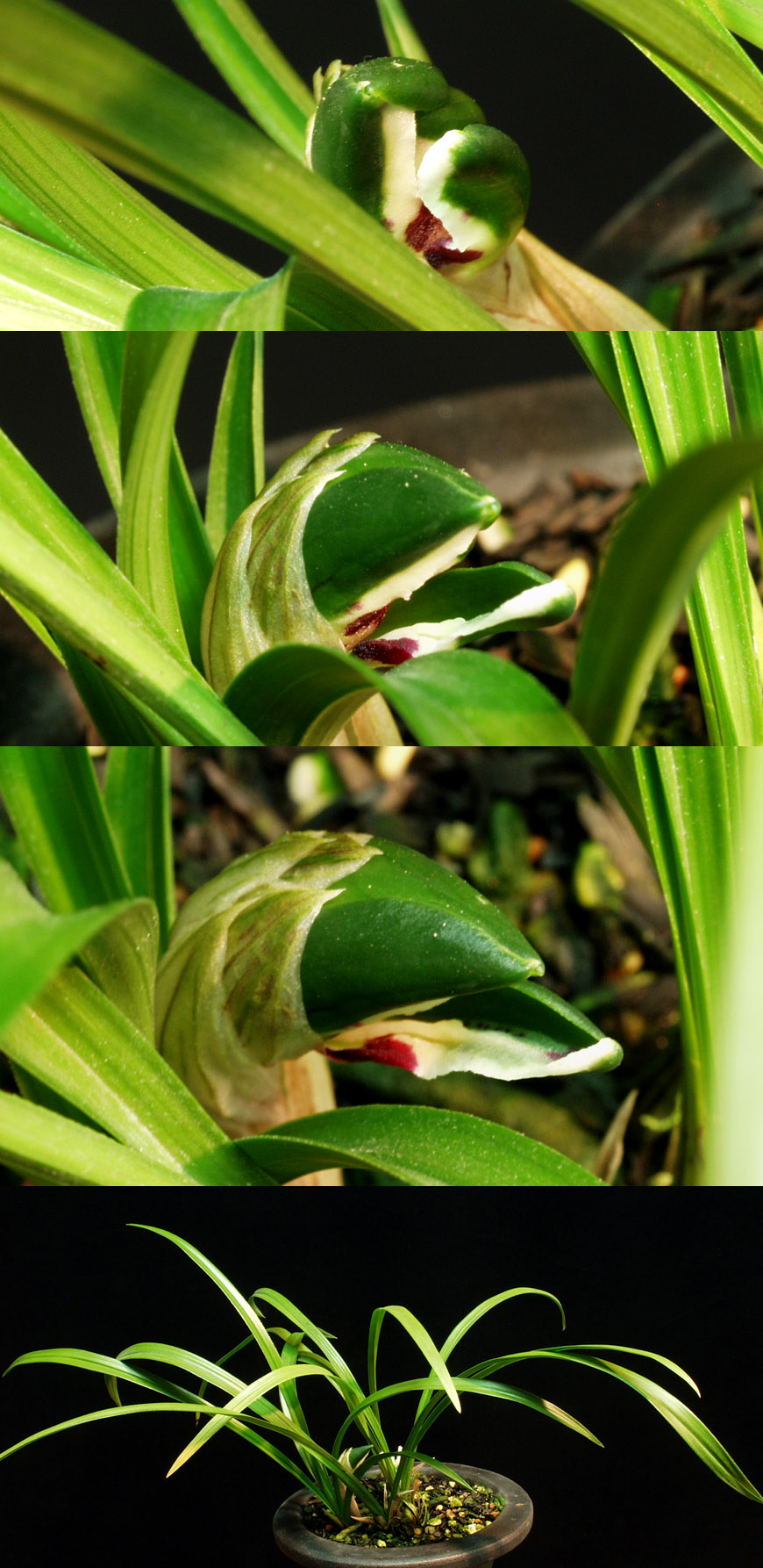 ������ ū������ �� �� �ֽ��ϴ�.