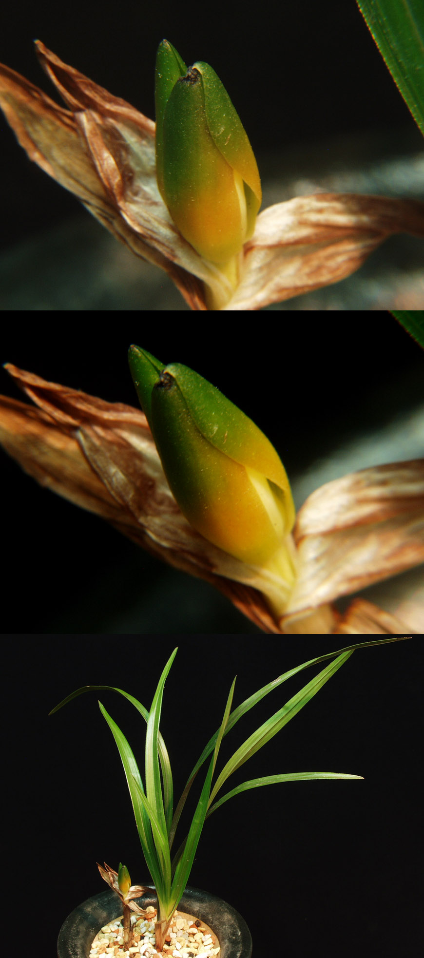 ������ ū������ �� �� �ֽ��ϴ�.