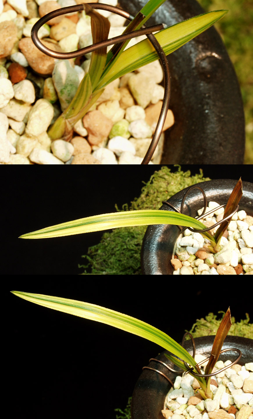 ������ ū������ �� �� �ֽ��ϴ�.