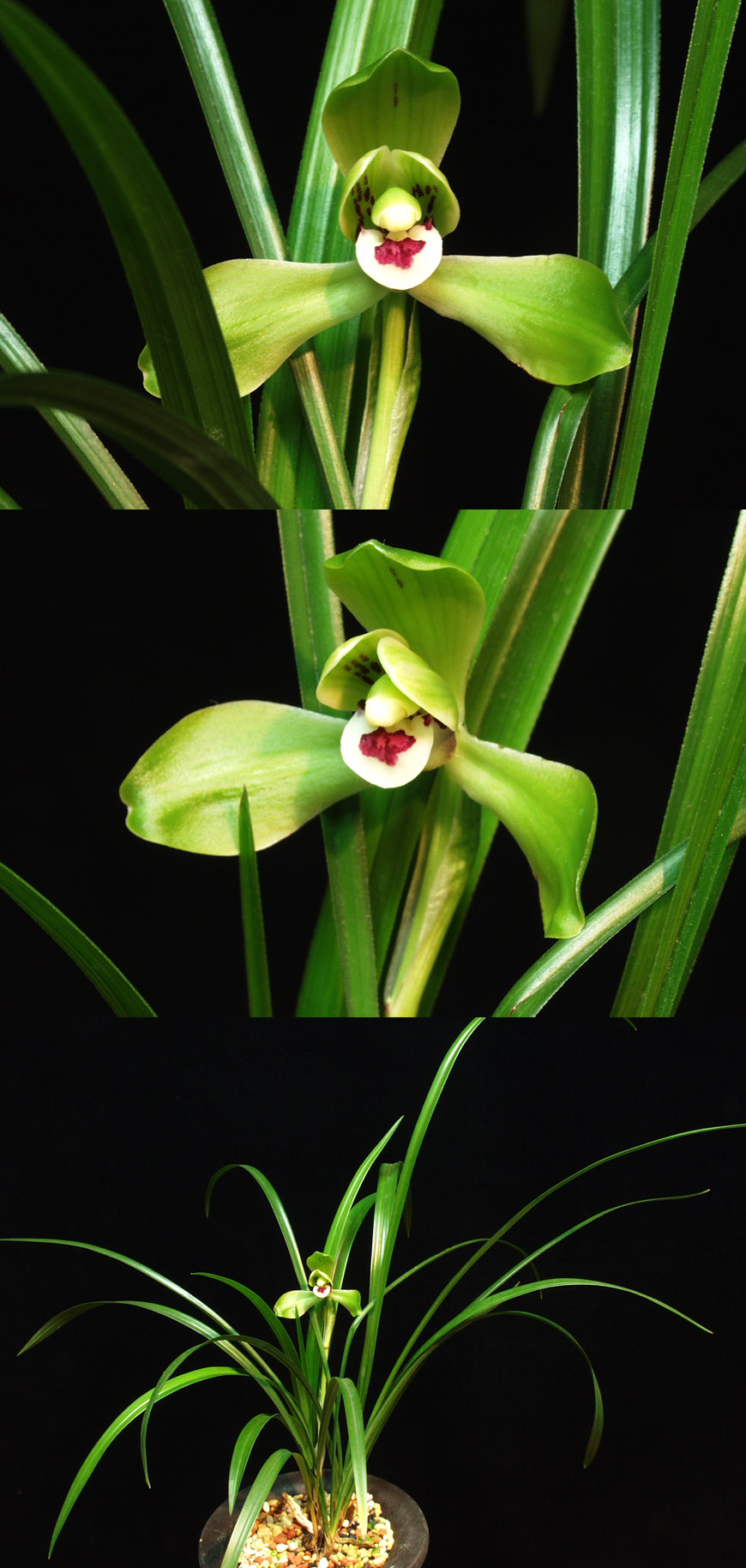 ������ ū������ �� �� �ֽ��ϴ�.