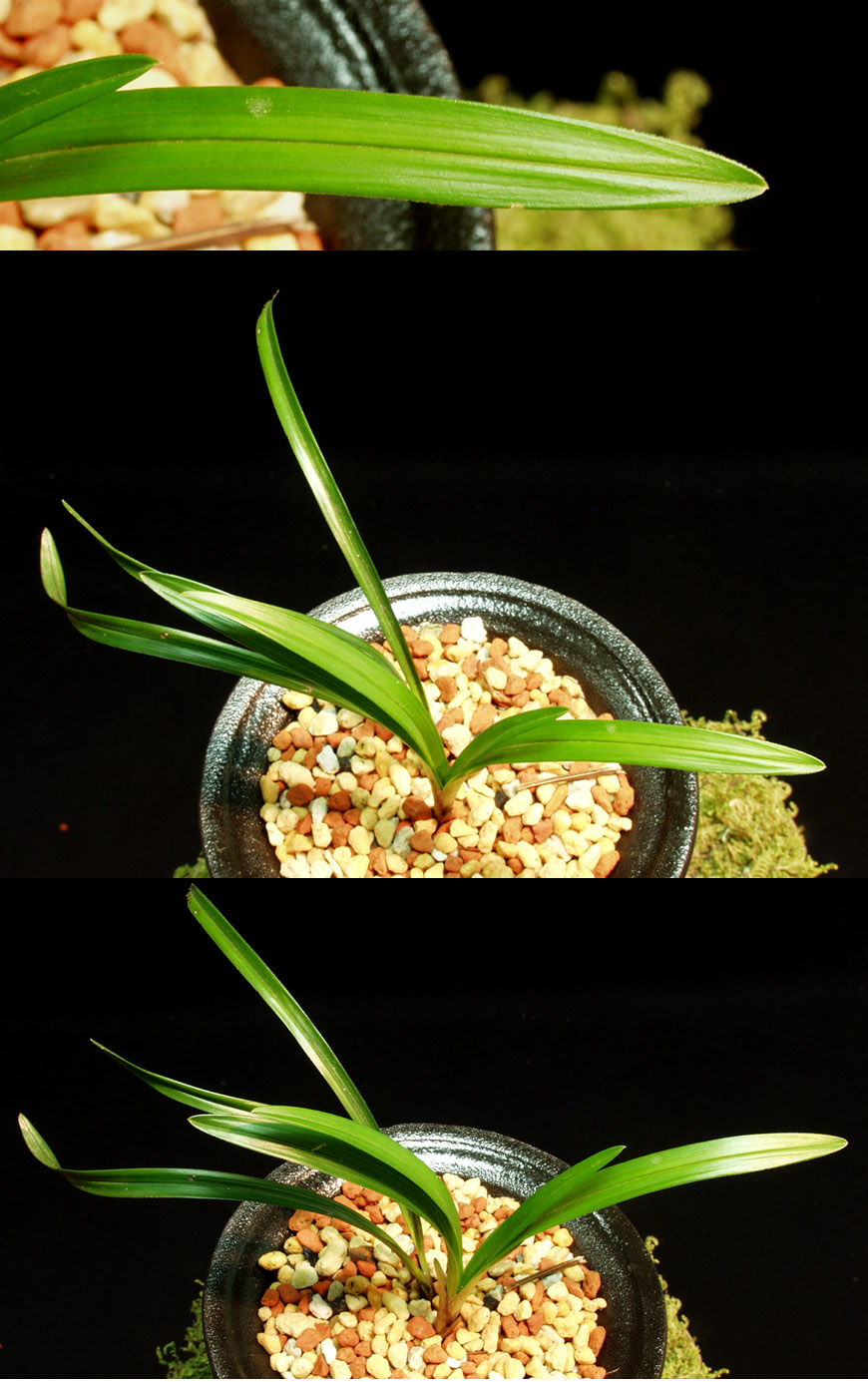 ������ ū������ �� �� �ֽ��ϴ�.