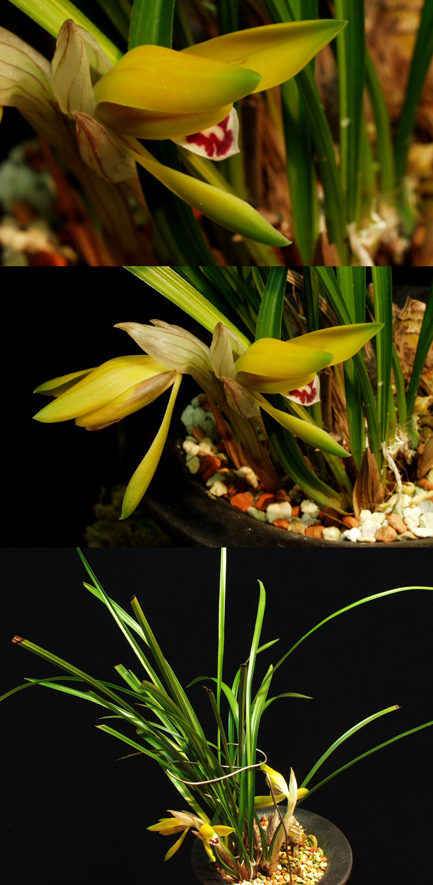 ������ ū������ �� �� �ֽ��ϴ�.