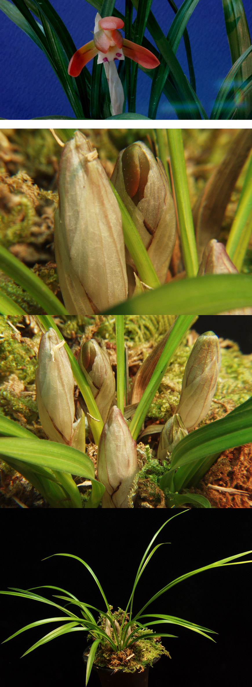 ������ ū������ �� �� �ֽ��ϴ�.