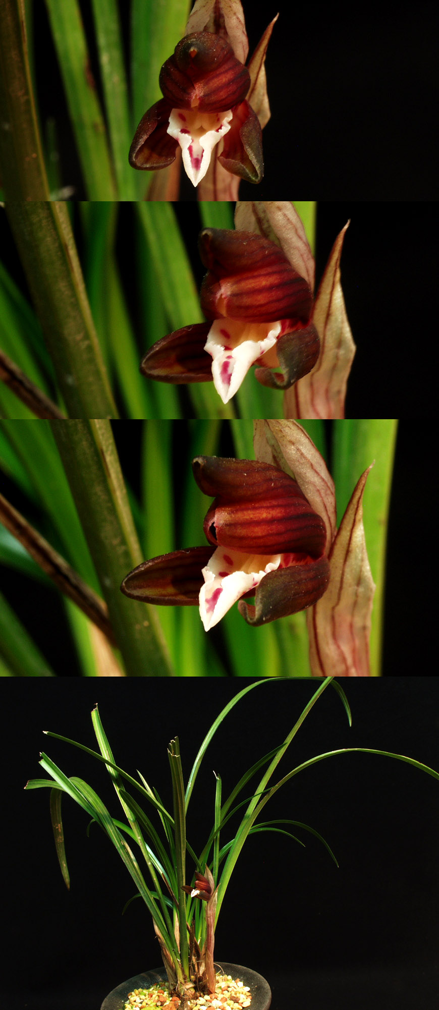 ������ ū������ �� �� �ֽ��ϴ�.