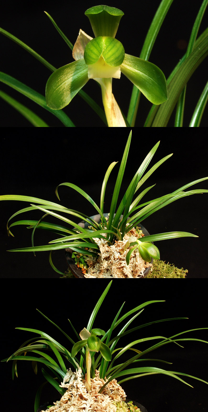 ������ ū������ �� �� �ֽ��ϴ�.