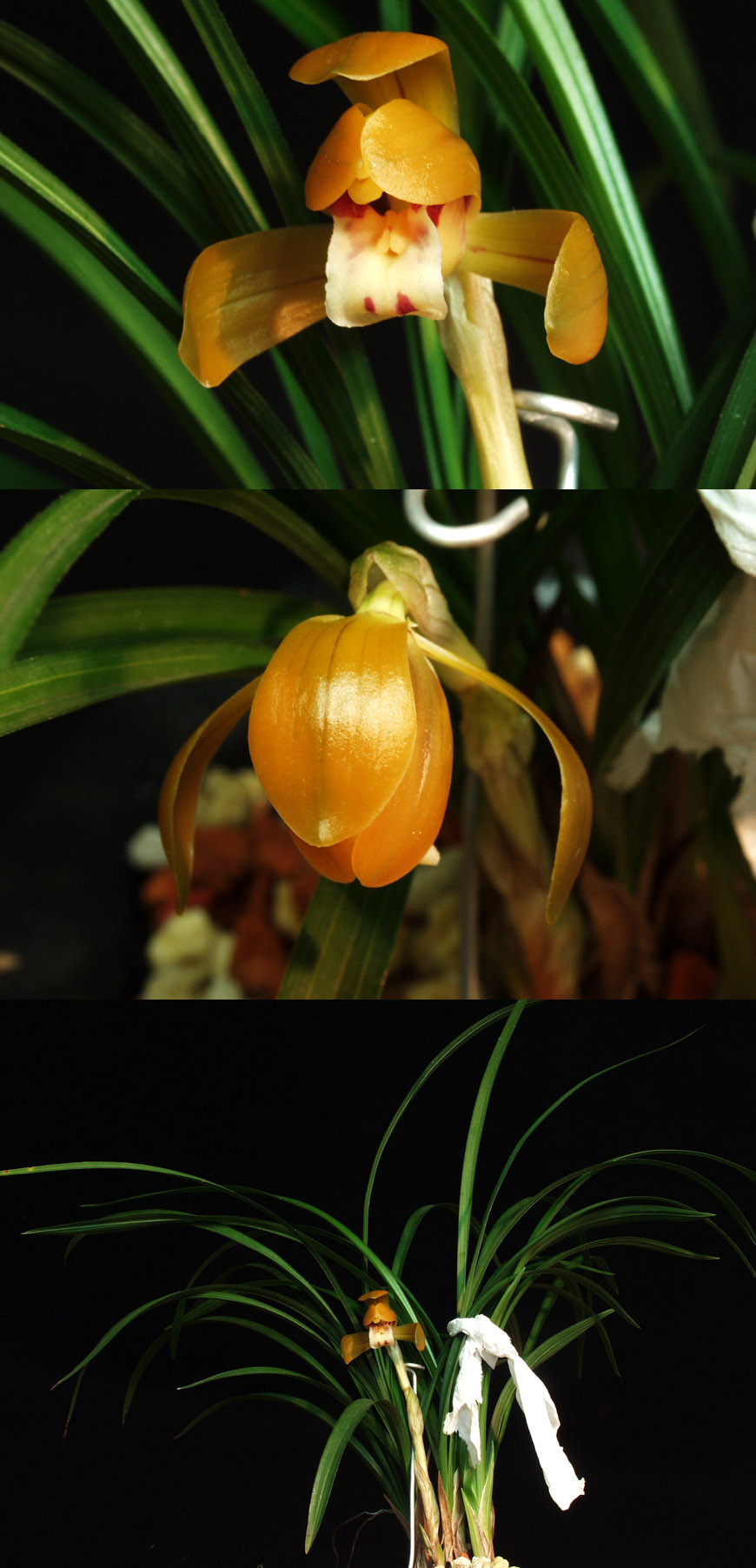 ������ ū������ �� �� �ֽ��ϴ�.