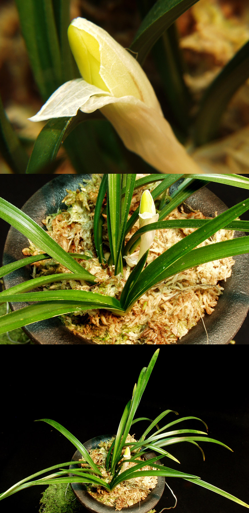 ������ ū������ �� �� �ֽ��ϴ�.