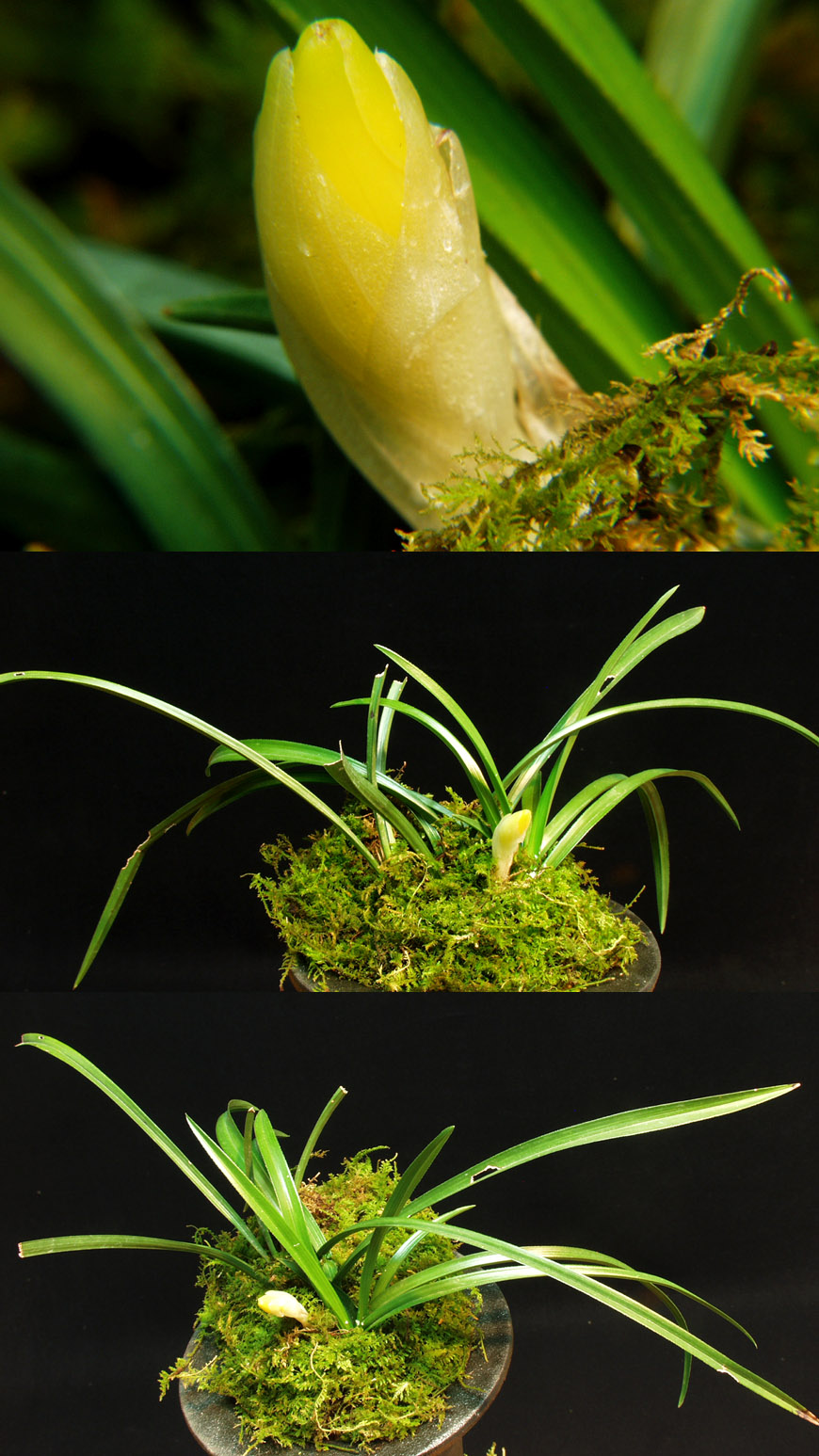 ������ ū������ �� �� �ֽ��ϴ�.