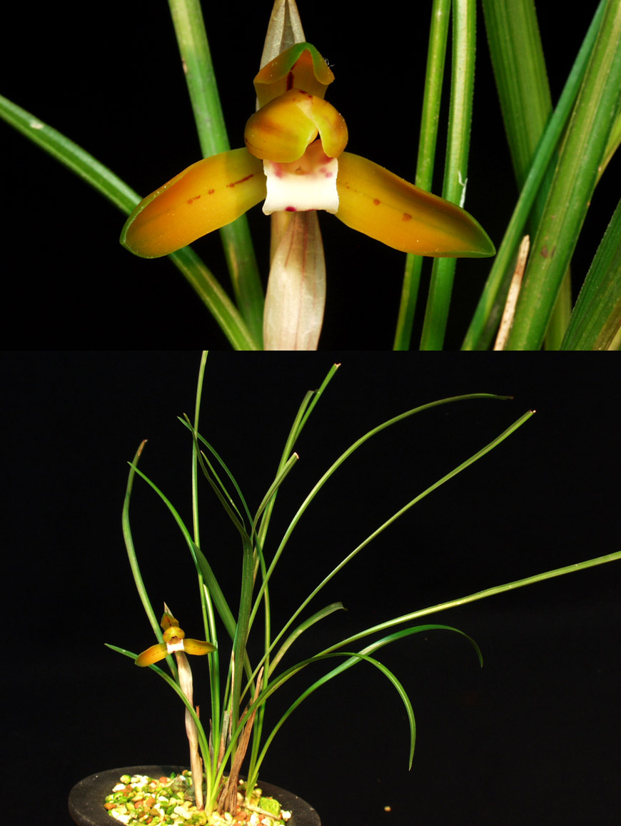 ������ ū������ �� �� �ֽ��ϴ�.