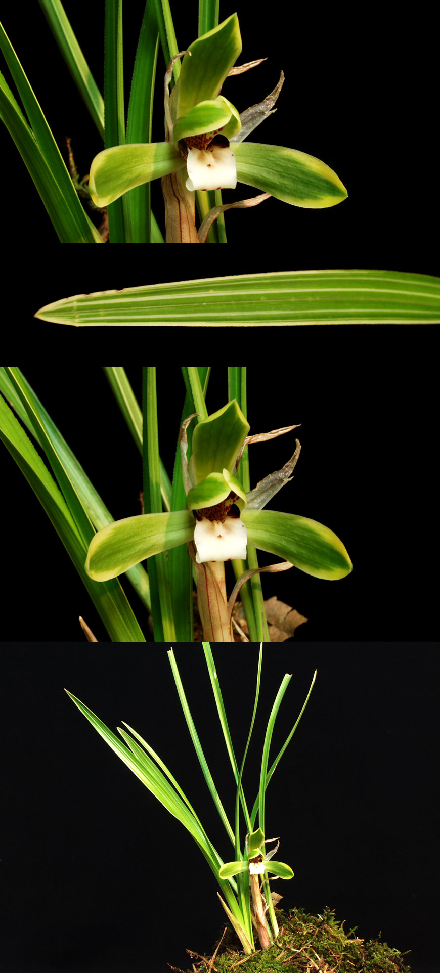 ������ ū������ �� �� �ֽ��ϴ�.