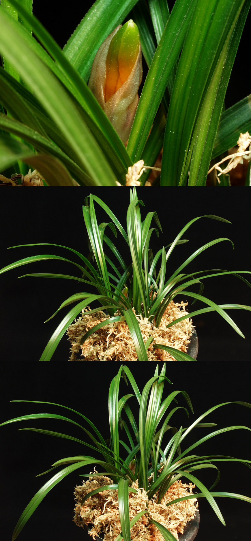 ������ ū������ �� �� �ֽ��ϴ�.