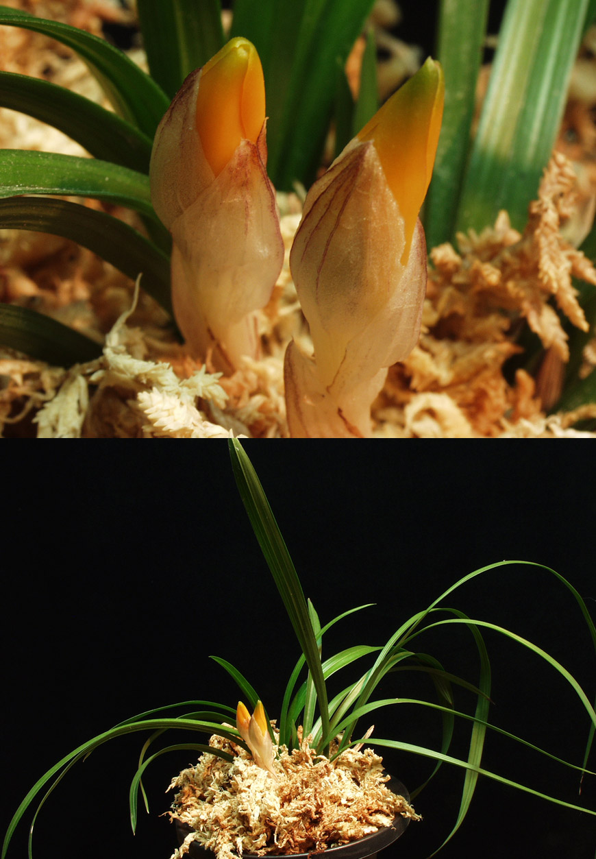 ������ ū������ �� �� �ֽ��ϴ�.