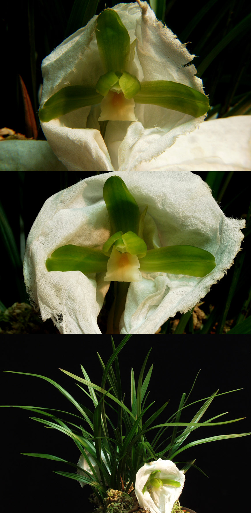 ������ ū������ �� �� �ֽ��ϴ�.