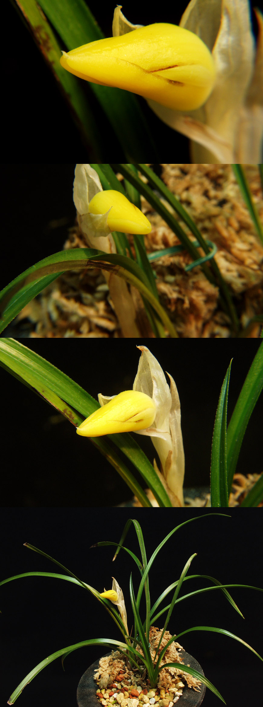 ������ ū������ �� �� �ֽ��ϴ�.