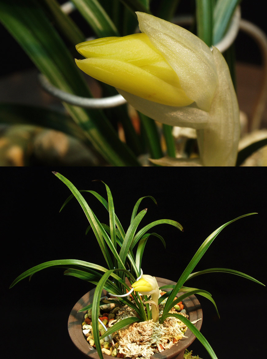 ������ ū������ �� �� �ֽ��ϴ�.