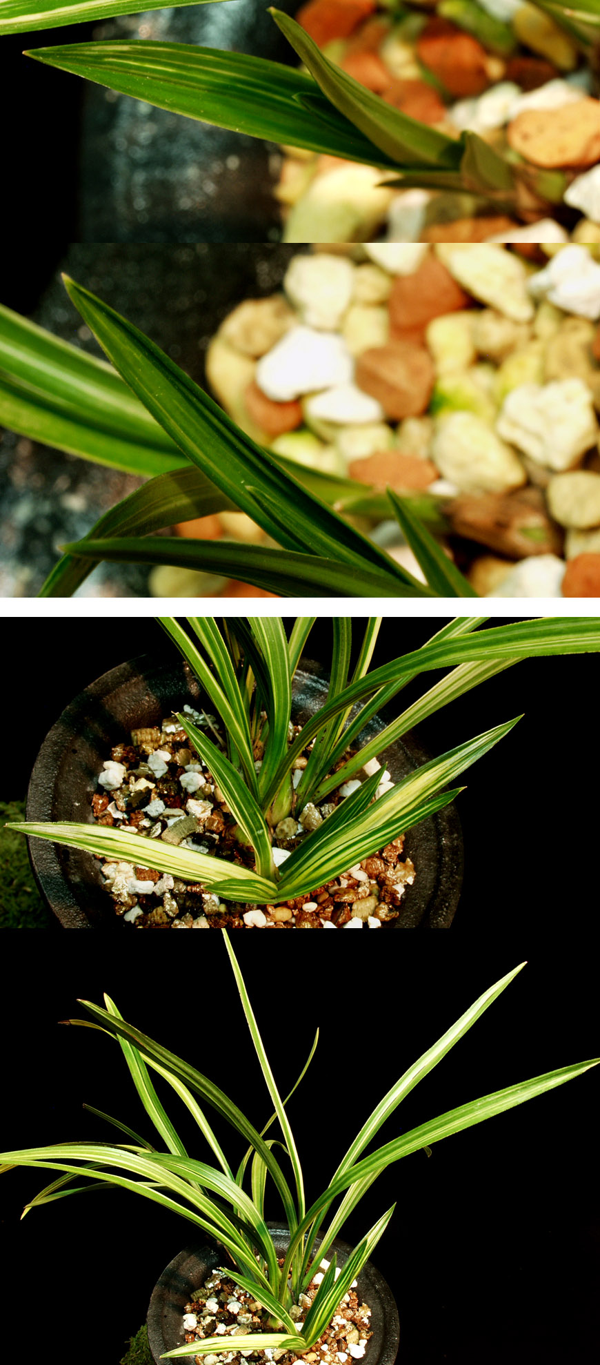 ������ ū������ �� �� �ֽ��ϴ�.