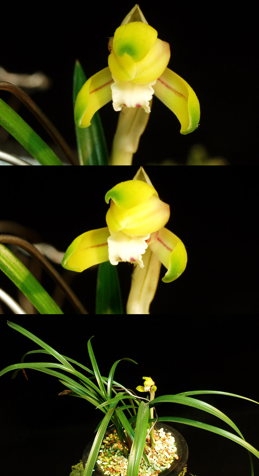 ������ ū������ �� �� �ֽ��ϴ�.