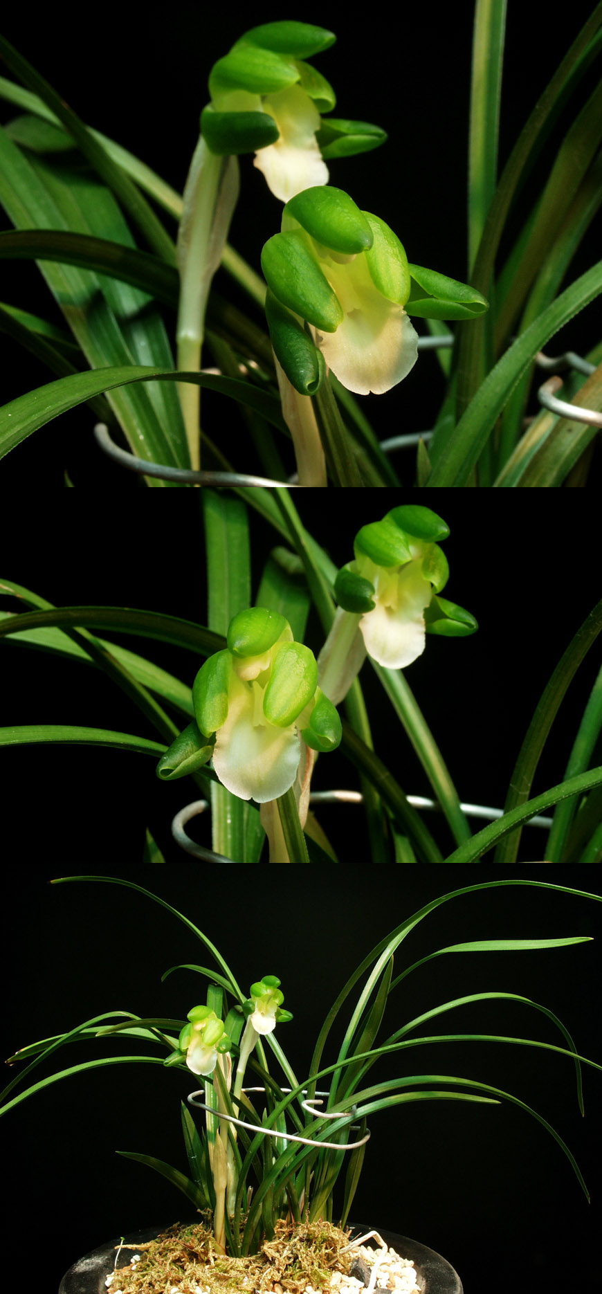 ������ ū������ �� �� �ֽ��ϴ�.