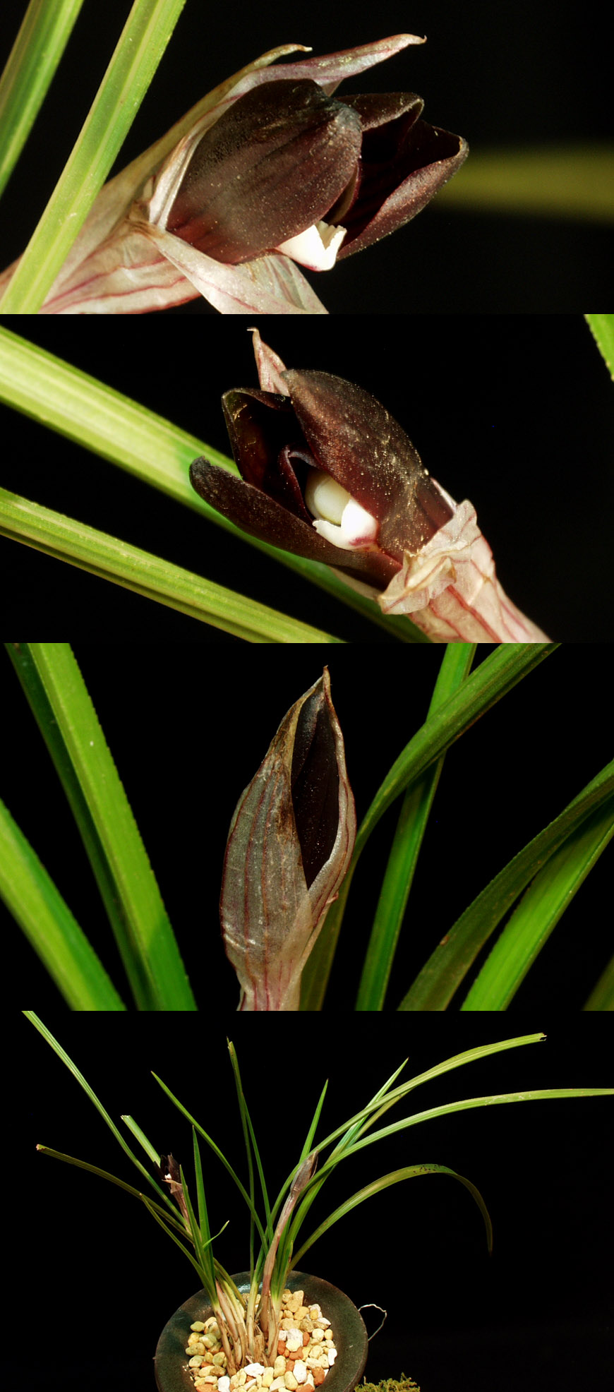 ������ ū������ �� �� �ֽ��ϴ�.