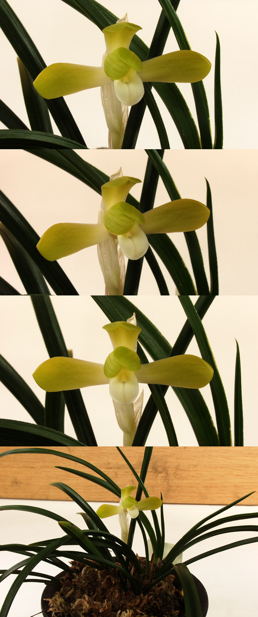 ������ ū������ �� �� �ֽ��ϴ�.