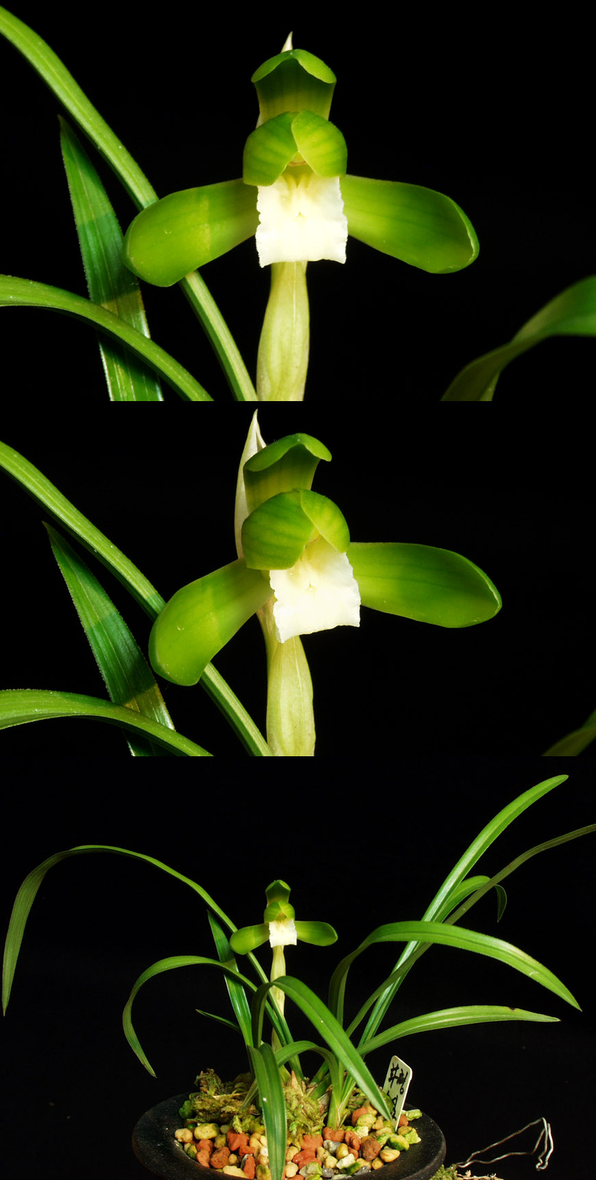 ������ ū������ �� �� �ֽ��ϴ�.