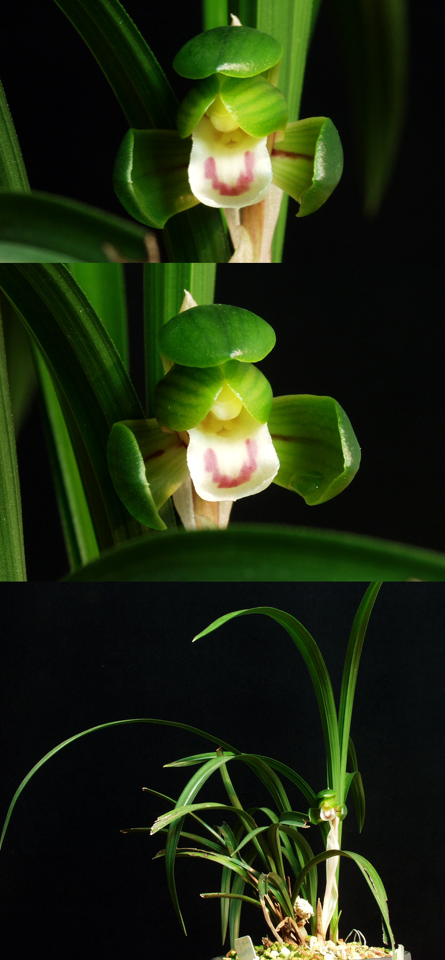 ������ ū������ �� �� �ֽ��ϴ�.