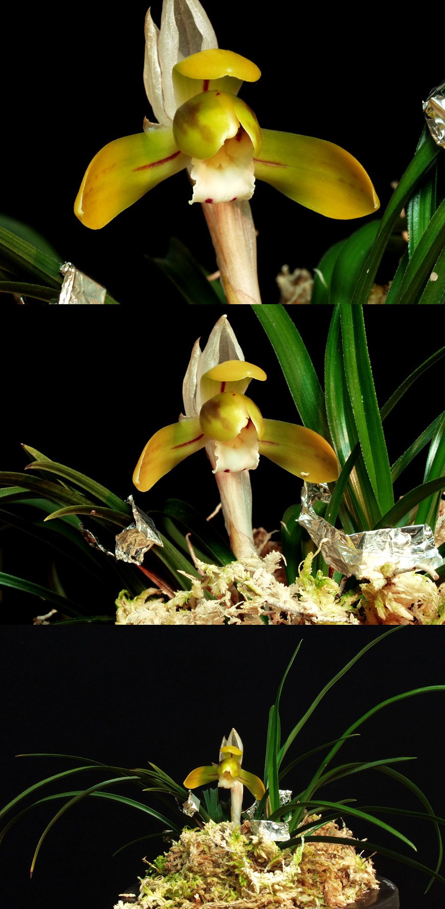 ������ ū������ �� �� �ֽ��ϴ�.