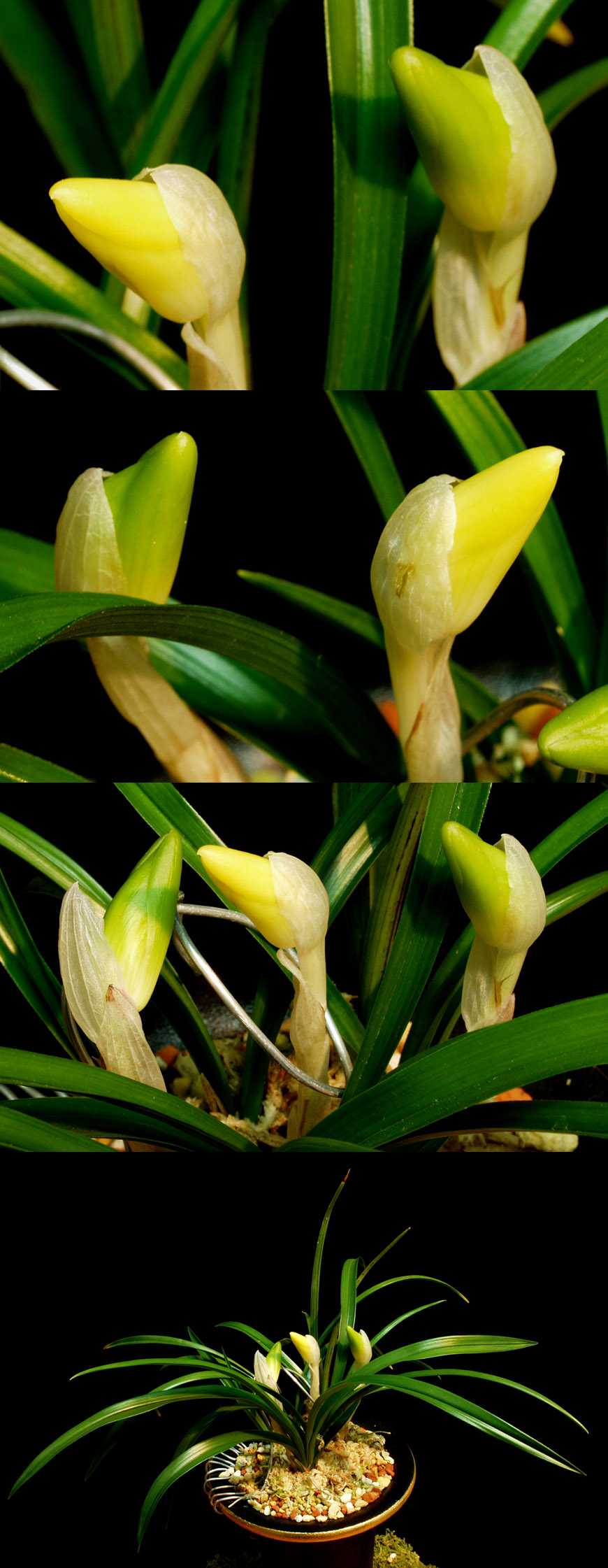 ������ ū������ �� �� �ֽ��ϴ�.