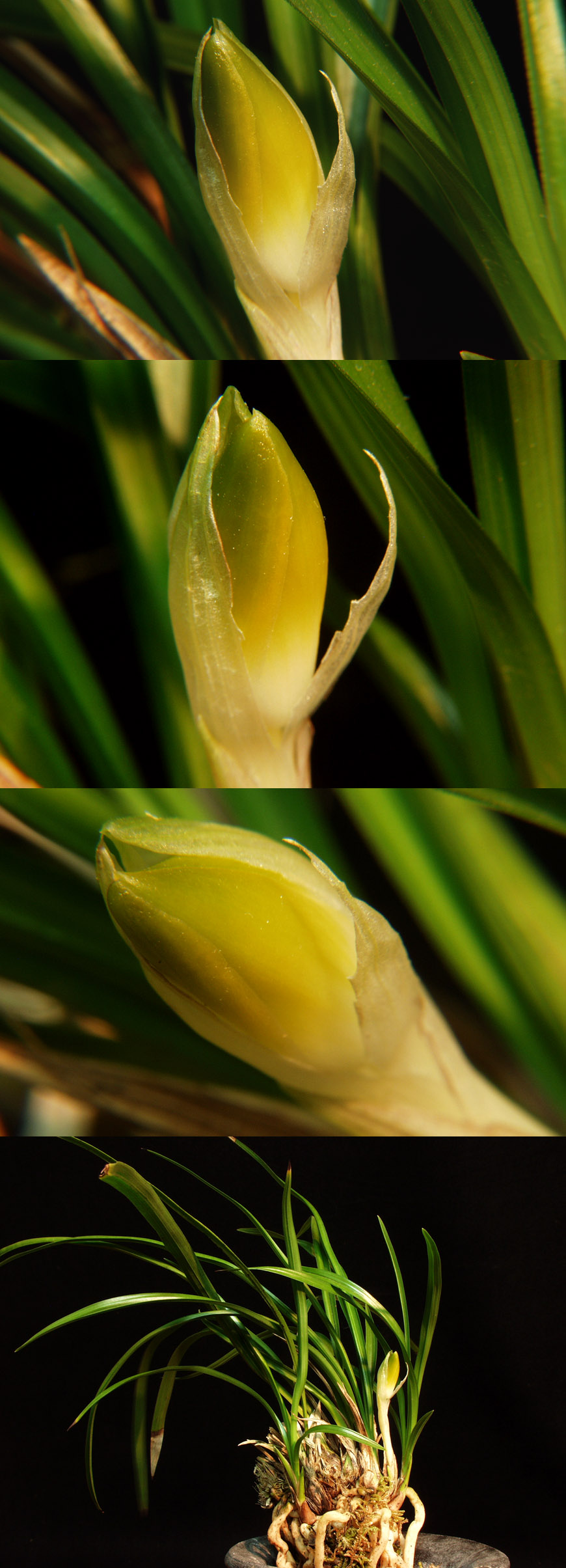 ������ ū������ �� �� �ֽ��ϴ�.