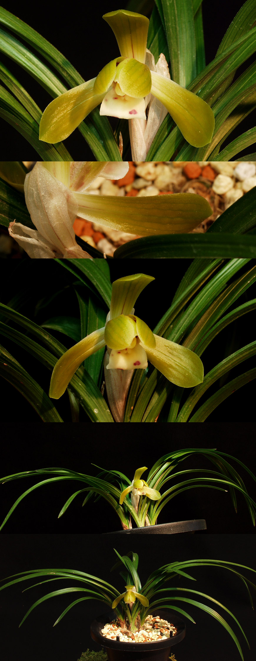 ������ ū������ �� �� �ֽ��ϴ�.