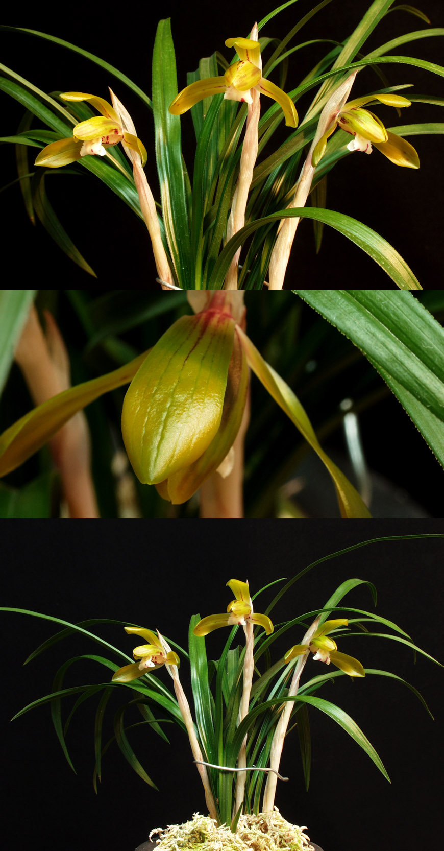 ������ ū������ �� �� �ֽ��ϴ�.