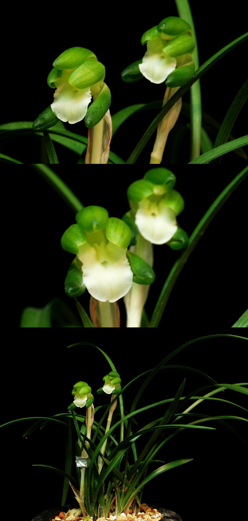 ������ ū������ �� �� �ֽ��ϴ�.