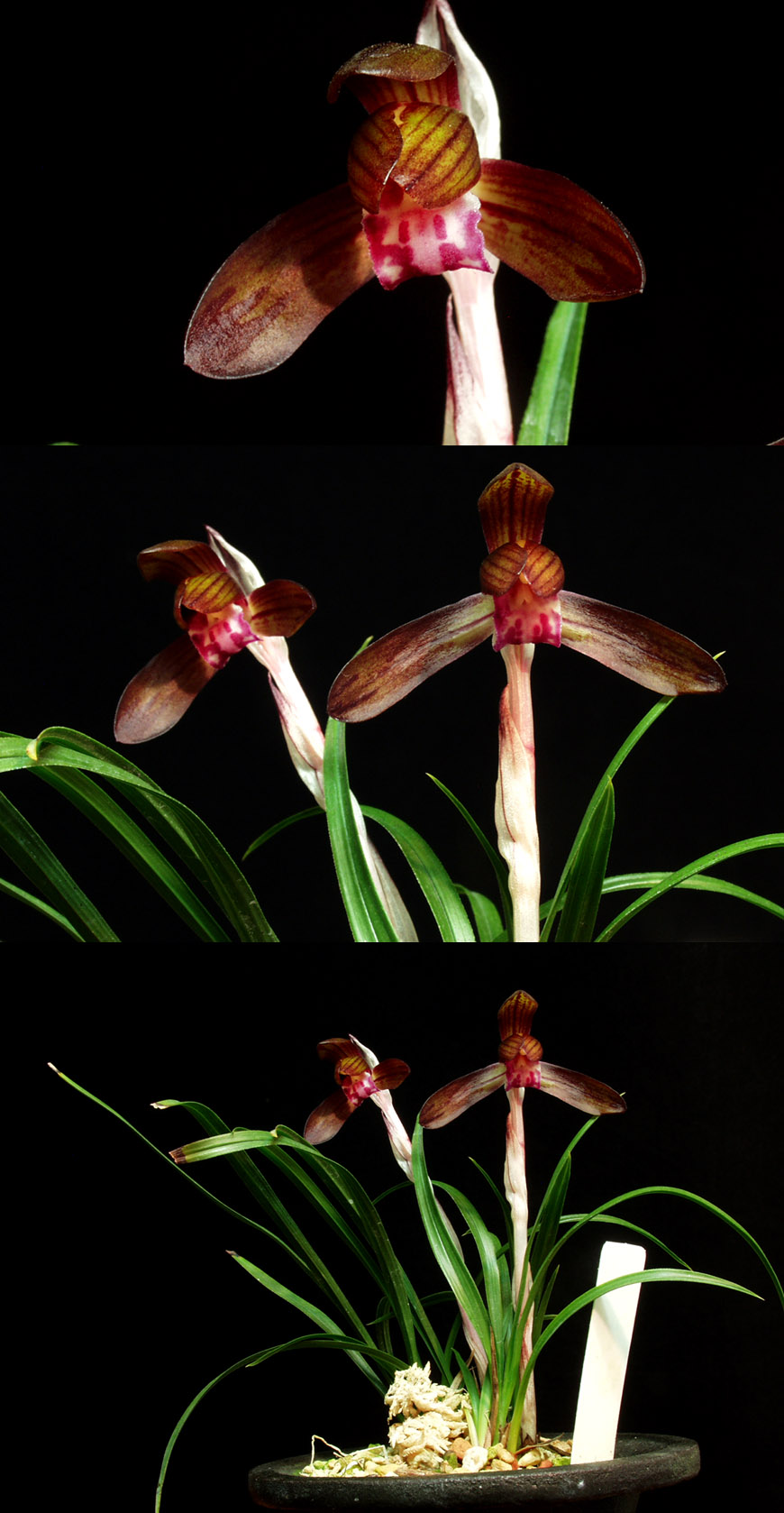 ������ ū������ �� �� �ֽ��ϴ�.