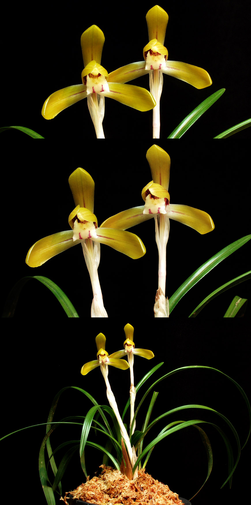 ������ ū������ �� �� �ֽ��ϴ�.