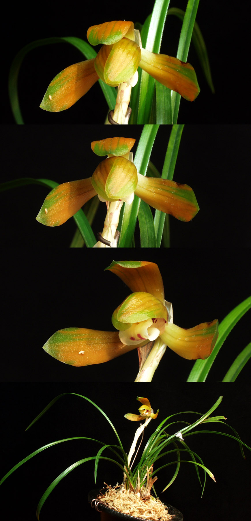 ������ ū������ �� �� �ֽ��ϴ�.