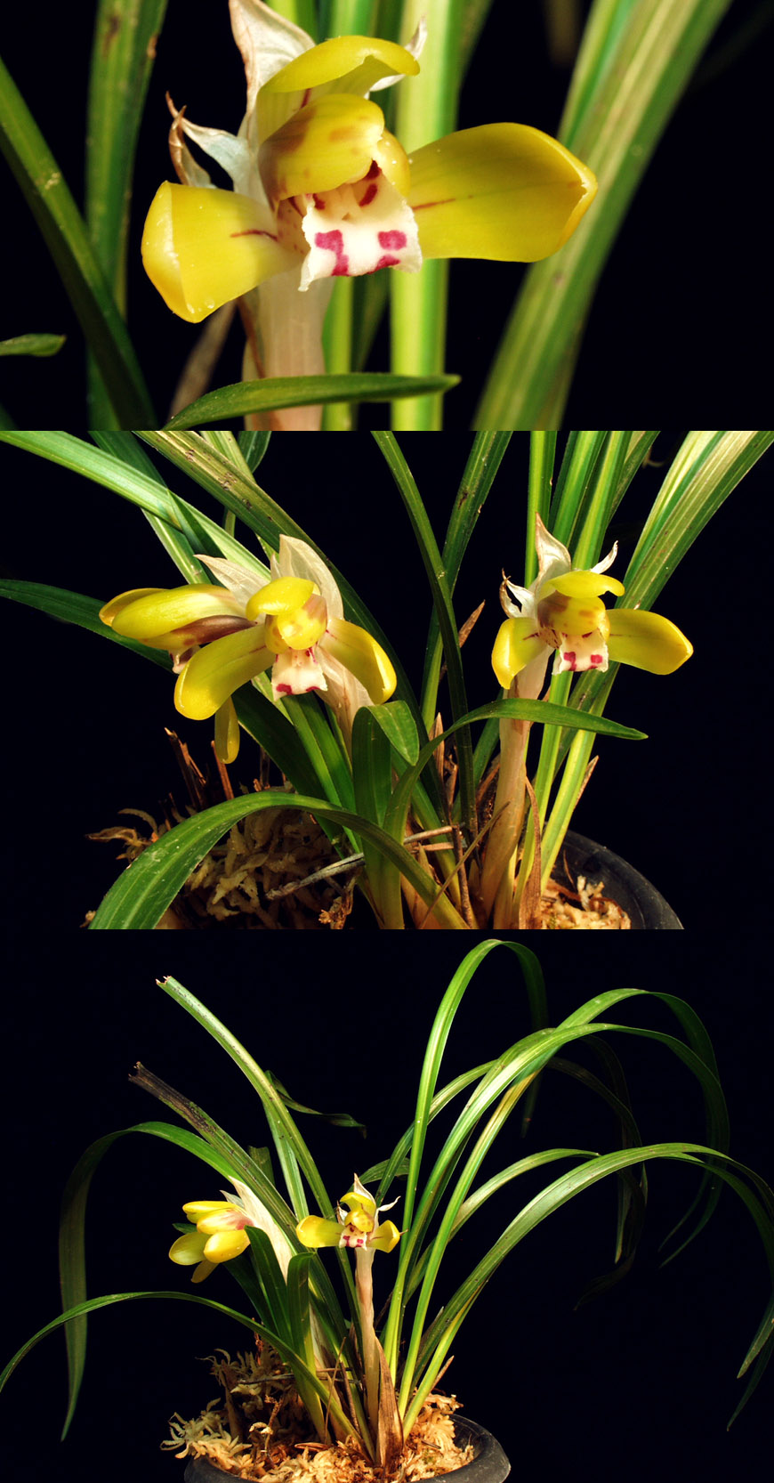 ������ ū������ �� �� �ֽ��ϴ�.